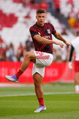 Samuel Dahl, Şampiyonlar Ligi üçüncü tur eleme maçında SL Benfica ve OGC Nice (Maciej Rogowski)