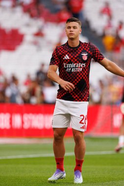 Samuel Dahl, Şampiyonlar Ligi üçüncü tur eleme maçında SL Benfica ve OGC Nice (Maciej Rogowski)