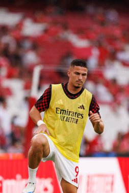 Franjo İvanoviç Şampiyonlar Ligi üçüncü tur eleme maçında SL Benfica ve OGC Nice (Maciej Rogowski)