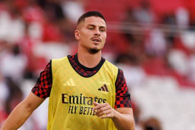 Franjo İvanoviç Şampiyonlar Ligi üçüncü tur eleme maçında SL Benfica ve OGC Nice (Maciej Rogowski)