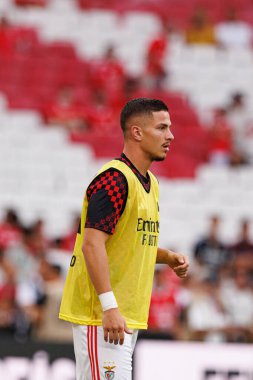 Franjo İvanoviç Şampiyonlar Ligi üçüncü tur eleme maçında SL Benfica ve OGC Nice (Maciej Rogowski)