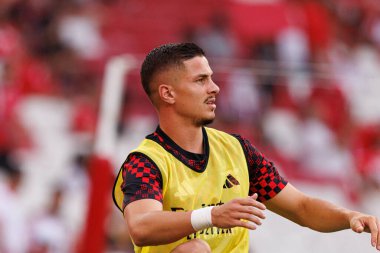 Franjo İvanoviç Şampiyonlar Ligi üçüncü tur eleme maçında SL Benfica ve OGC Nice (Maciej Rogowski)