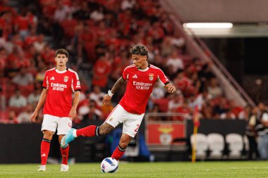 Richard Rios Şampiyonlar Ligi üçüncü tur eleme maçında SL Benfica ve OGC Nice (Maciej Rogowski)