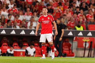 Franjo İvanoviç Şampiyonlar Ligi üçüncü tur eleme maçında SL Benfica ve OGC Nice (Maciej Rogowski)