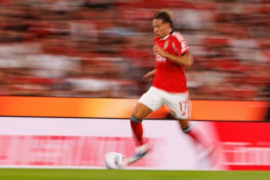 Amar Dedid Şampiyonlar Ligi üçüncü tur eleme maçında SL Benfica ve OGC Nice (Maciej Rogowski)