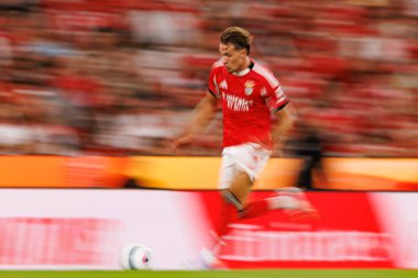 Amar Dedid Şampiyonlar Ligi üçüncü tur eleme maçında SL Benfica ve OGC Nice (Maciej Rogowski)