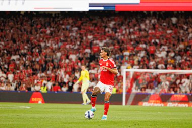 Richard Rios Şampiyonlar Ligi üçüncü tur eleme maçında SL Benfica ve OGC Nice (Maciej Rogowski)