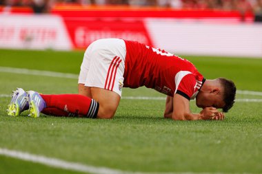 Samuel Dahl, Şampiyonlar Ligi üçüncü tur eleme maçında SL Benfica ve OGC Nice (Maciej Rogowski)