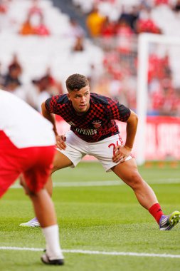 Samuel Dahl, Şampiyonlar Ligi üçüncü tur eleme maçında SL Benfica ve OGC Nice (Maciej Rogowski)