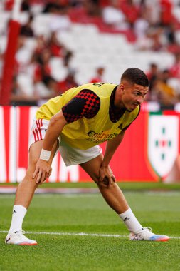 Franjo İvanoviç Şampiyonlar Ligi üçüncü tur eleme maçında SL Benfica ve OGC Nice (Maciej Rogowski)