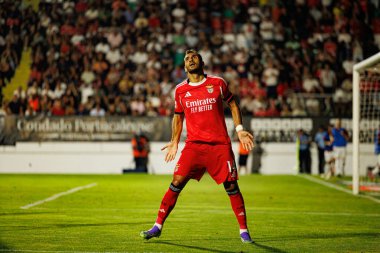 Vangelis Pavlidis, Liga Portekiz maçında Estrela Amadora ve SL Benfica takımları arasında attığı gol sonrasında Estadio Jose Gomes 'de (Maciej Rogowski)