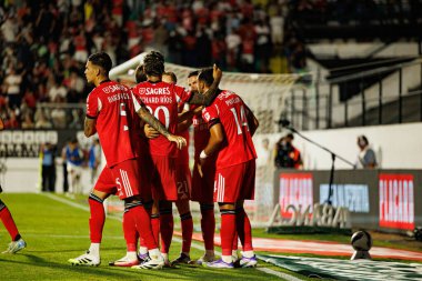 Benfica oyuncuları Liga Portekiz maçında Estrela Amadora ve SL Benfica takımları arasında Estadio Jose Gomes (Maciej Rogowski)