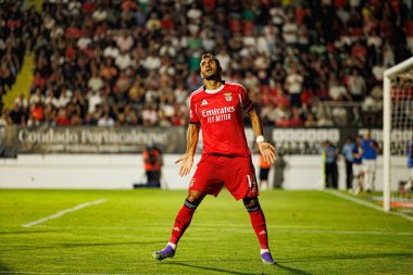 Vangelis Pavlidis, Liga Portekiz maçında Estrela Amadora ve SL Benfica takımları arasında attığı gol sonrasında Estadio Jose Gomes 'de (Maciej Rogowski)
