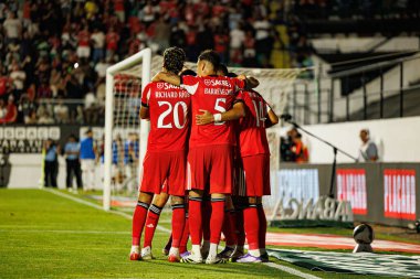 Vangelis Pavlidis, Liga Portekiz maçında Estrela Amadora ve SL Benfica takımları arasında attığı gol sonrasında Estadio Jose Gomes 'de (Maciej Rogowski)