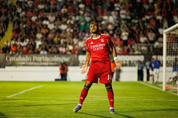 Vangelis Pavlidis, Liga Portekiz maçında Estrela Amadora ve SL Benfica takımları arasında attığı gol sonrasında Estadio Jose Gomes 'de (Maciej Rogowski)