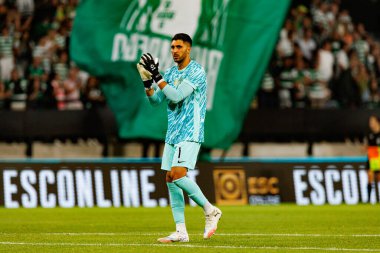 Liga Portekiz maçı sırasında Estadio Jose Alvalade 'de (Maciej Rogowski) Sporting CP ve FC Arouca takımları arasında Rui Silva görüldü.)