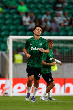 Pedro Goncalf, Liga Portekiz maçı sırasında Estadio Jose Alvalade 'de (Maciej Rogowski) Sporting CP ve FC Arouca takımları arasında görüldü.)