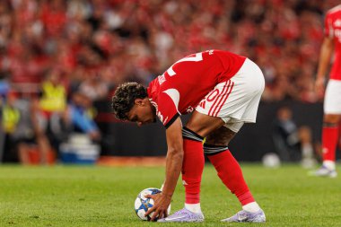 Richard Rios Şampiyonlar Ligi eleme maçında SL Benfica ve Fenerbahçe SK (Maciej Rogowski)