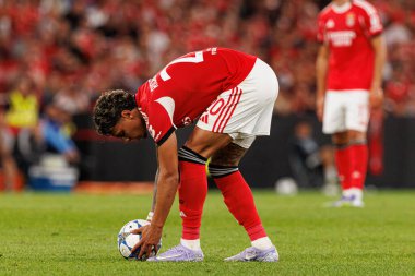 Richard Rios Şampiyonlar Ligi eleme maçında SL Benfica ve Fenerbahçe SK (Maciej Rogowski)