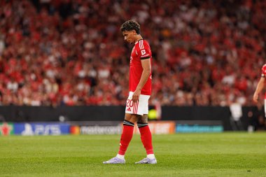 Richard Rios Şampiyonlar Ligi eleme maçında SL Benfica ve Fenerbahçe SK (Maciej Rogowski)