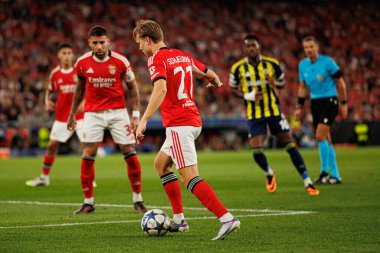 Andreas Schjelderup, Şampiyonlar Ligi eleme maçında SL Benfica ve Fenerbahçe SK (Maciej Rogowski) arasında görüldü.)