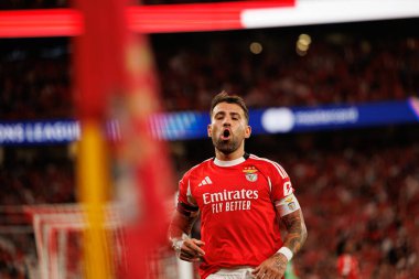 Nicolas Otamendi Şampiyonlar Ligi eleme maçında SL Benfica ve Fenerbahçe SK (Maciej Rogowski) arasında görüldü.)