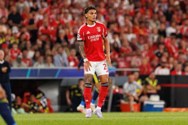 Richard Rios Şampiyonlar Ligi eleme maçında SL Benfica ve Fenerbahçe SK (Maciej Rogowski)