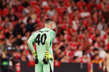 Dominik Livakoviç Şampiyonlar Ligi ön eleme maçında SL Benfica ile Fenerbahçe SK (Maciej Rogowski) arasında görüldü.)