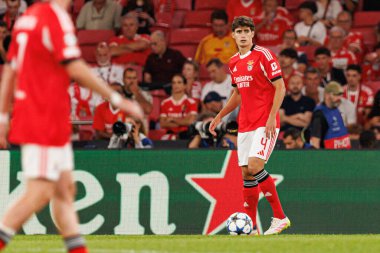 Antonio Silva Şampiyonlar Ligi eleme maçında SL Benfica ve Fenerbahçe SK (Maciej Rogowski) arasında görüldü.)