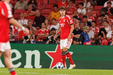 Antonio Silva Şampiyonlar Ligi eleme maçında SL Benfica ve Fenerbahçe SK (Maciej Rogowski) arasında görüldü.)