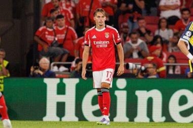 Amar Dediç Şampiyonlar Ligi eleme maçında SL Benfica ve Fenerbahçe SK (Maciej Rogowski) arasında görüldü.)