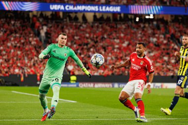 Dominik Livakoviç ve Vangelis Pavlidis SL Benfica ile Fenerbahçe SK (Maciej Rogowski) arasındaki Şampiyonlar Ligi ön eleme maçında görüldüler.)