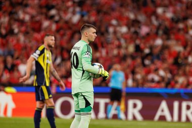 Dominik Livakoviç Şampiyonlar Ligi ön eleme maçında SL Benfica ile Fenerbahçe SK (Maciej Rogowski) arasında görüldü.)