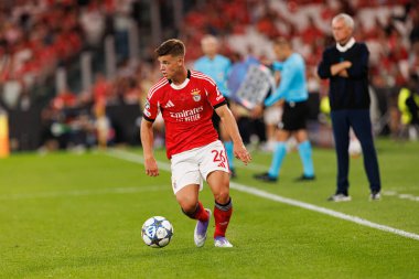 Samuel Dahl, Şampiyonlar Ligi eleme maçında SL Benfica ve Fenerbahçe SK (Maciej Rogowski)