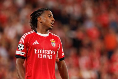 Leandro Barreiro Şampiyonlar Ligi eleme maçında SL Benfica ve Fenerbahçe SK (Maciej Rogowski) arasında görüldü.)