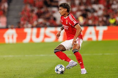 Richard Rios Şampiyonlar Ligi eleme maçında SL Benfica ve Fenerbahçe SK (Maciej Rogowski)