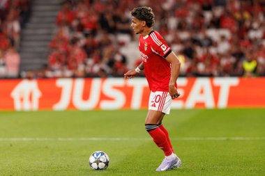 Richard Rios Şampiyonlar Ligi eleme maçında SL Benfica ve Fenerbahçe SK (Maciej Rogowski)