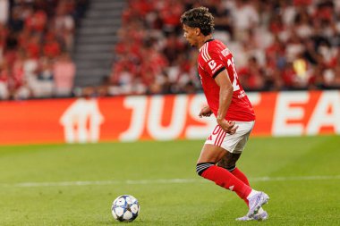 Richard Rios Şampiyonlar Ligi eleme maçında SL Benfica ve Fenerbahçe SK (Maciej Rogowski)