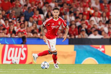 Enzo Barrenechea, Şampiyonlar Ligi eleme maçında SL Benfica ve Fenerbahçe SK (Maciej Rogowski) arasında görüldü.)