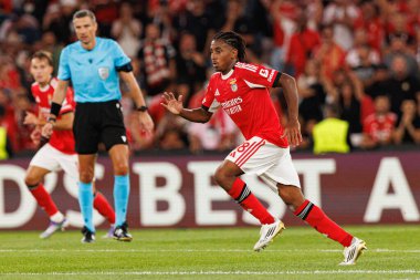 Leandro Barreiro Şampiyonlar Ligi eleme maçında SL Benfica ve Fenerbahçe SK (Maciej Rogowski) arasında görüldü.)