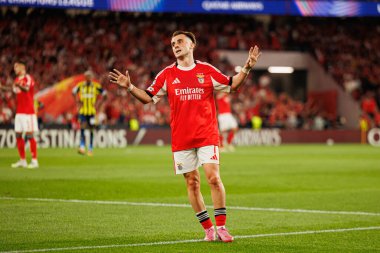 Kerem Akturkoglu, Şampiyonlar Ligi eleme maçında SL Benfica ve Fenerbahçe SK (Maciej Rogowski)