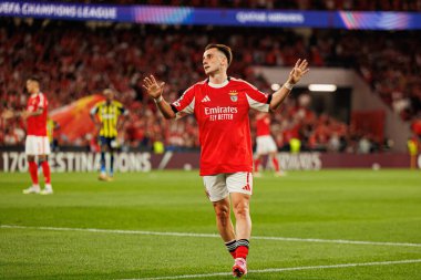 Kerem Akturkoglu, Şampiyonlar Ligi eleme maçında SL Benfica ve Fenerbahçe SK (Maciej Rogowski)