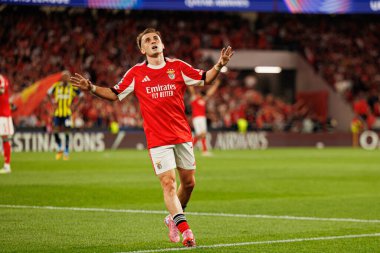 Kerem Akturkoglu, Şampiyonlar Ligi eleme maçında SL Benfica ve Fenerbahçe SK (Maciej Rogowski)