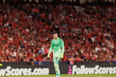 Dominik Livakoviç Şampiyonlar Ligi ön eleme maçında SL Benfica ile Fenerbahçe SK (Maciej Rogowski) arasında görüldü.)