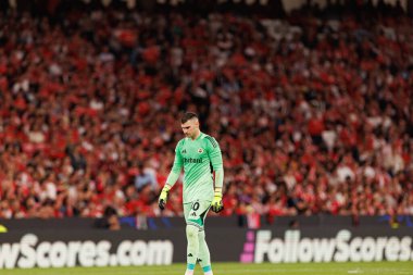 Dominik Livakoviç Şampiyonlar Ligi ön eleme maçında SL Benfica ile Fenerbahçe SK (Maciej Rogowski) arasında görüldü.)