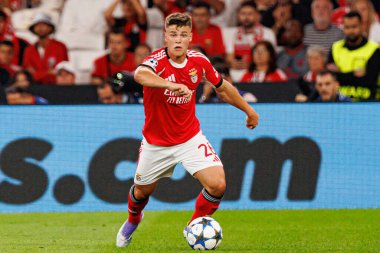 Samuel Dahl, Şampiyonlar Ligi eleme maçında SL Benfica ve Fenerbahçe SK (Maciej Rogowski)