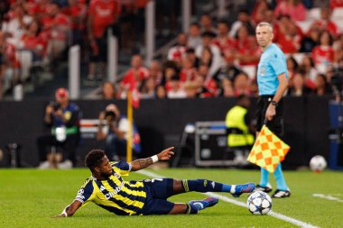 Fred, Şampiyonlar Ligi eleme maçında SL Benfica ve Fenerbahçe SK (Maciej Rogowski) arasında görüldü.)