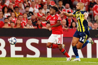 SL Benfica ve Fenerbahçe SK (Maciej Rogowski) arasında oynanan Şampiyonlar Ligi ön eleme maçında Leandro Barreiro ve Sofyan Amrabat)