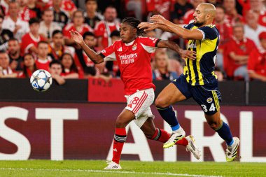 SL Benfica ve Fenerbahçe SK (Maciej Rogowski) arasında oynanan Şampiyonlar Ligi ön eleme maçında Leandro Barreiro ve Sofyan Amrabat)