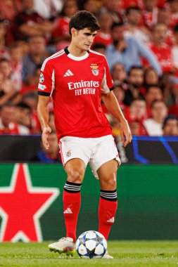 Antonio Silva Şampiyonlar Ligi eleme maçında SL Benfica ve Fenerbahçe SK (Maciej Rogowski) arasında görüldü.)